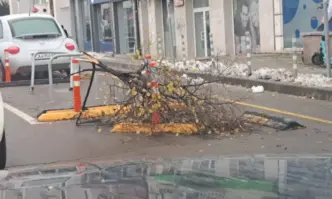 От Фейсбук профила на Румен Петков С нежен човекТежкият мокър сняг който