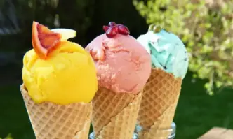 БАБХ ще проверява обектите за производство и търговия със сладолед