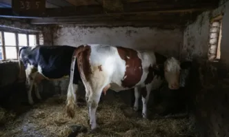 Унгария изрази днес предположение че биологична атака може да е