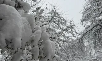 Заради обилния снеговалеж и силния вятър към момента без достъп