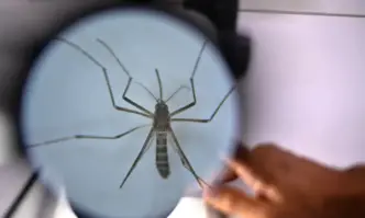 Кампанията за наблюдение и улавяне на тигрови комари в Париж