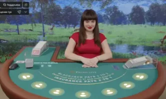 Как да играем Блекджек: Ръководство за начинаещи