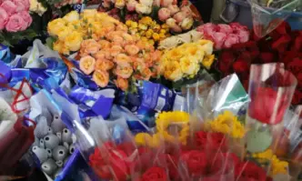 Безплатен транспорт за Голяма Задушница на 14 февруари 2026 г.