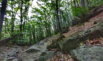 По разпореждане на министъра на земеделието Явор Гечев започна вътрешна