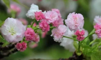 В последните дни на април времето ще остане нестабилно с