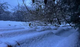 Спасиха чужденци край Боянския водопад, тръгнали без екипировка