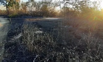 Загасен е пожарът в Хасковско