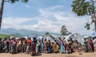 Неизвестно заболяване през ноември е довело до смъртта на 143