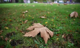 Още през нощта в неделя ще започне увеличаване на облачността