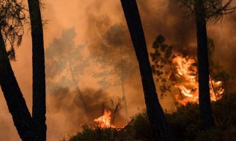 Пожар избухна в горите на остров Сазан близо до Вльора
