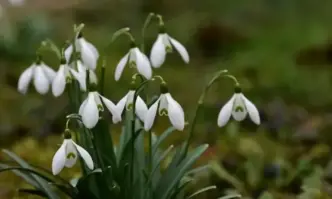 Днес облачността ще е разкъсана по значителна над Западна България и