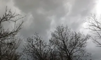 Бурен вятър причини щети в София