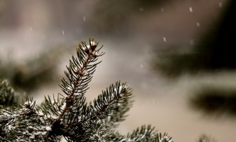 През следващото денонощие ще се задържи облачно и ще има