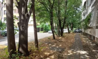 Жители на кв. ''Гоце Делчев'' протестират срещу изсичането на дървета