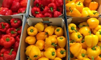 БАБХ хвана внос на над 512 тона плодове и зеленчуци с пестициди от трети страни