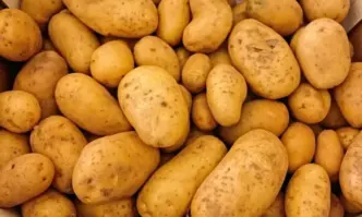 Въпросът за съдбата на българските картофи вече съвсем не изглежда