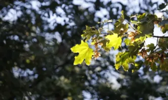 Какво време ни очаква в първия ден на астрономическата есен