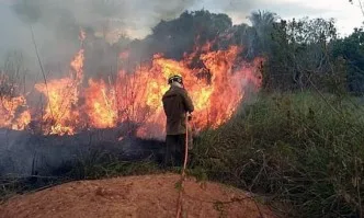 Бразилия отказа помощта на Г-7 за борба с пожарите в Амазонка