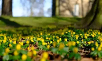 Днес отново ще бъде предимно слънчево и топло Ще духа