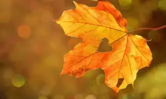 Изпращаме октомври с много слънце и необичайно топло време Призори