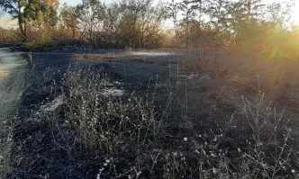 Над 3000 декара са засегнати от пожара в Хасковско