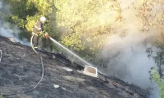 Ликвидирана е стихията край село КарабунарПродължава обаче борбата с огъня