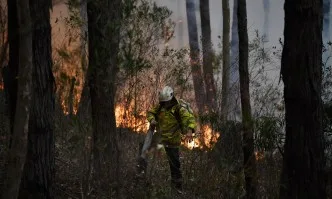 МВнР: Няма данни за засегнати и застрашени български граждани при пожарите в Австралия