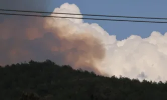 Пожарите в Ямбол и Сливен са овладени В района на