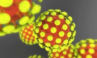 Расте броят на новозаразените с коронавирус, 231 са регистрираните за денонощие