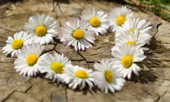 Най ярките звезди от голямото футболно лято на 1994 a отново се