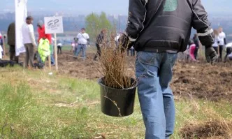 150 доброволци от Джи Пи Груп засадиха над 3000 дървета