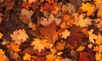 В понеделник Балканите ще са най топлото място в Европа В