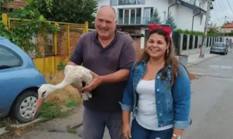 Утре птицата ще бъде транспортирана до Спасителния център за диви