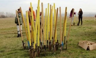 Близо 10 000 нови дръвчета в Новата гора на София. Засаждането продължава