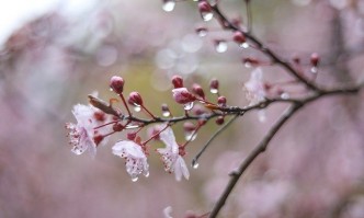 Днес облачността над цялата страна ще бъде значителна и на