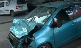 Стадо биволи предизвика катастрофа в София