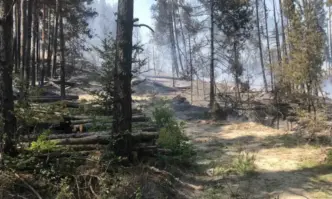 Пожарът в Осогово е локализиран, оглеждат с дрон засегнатите площи