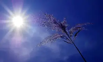 Днес ще бъде слънчево В следобедните часове над източната половина