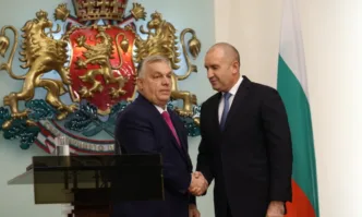 От профила на анализатора Цветанка АндрееваЖалък Радев пред Орбан Фамилиарничи пълзи