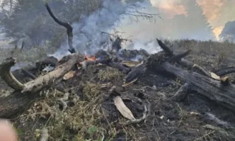 Два са действащите пожари на територията на страната Продължава борбата