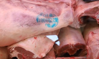 Истерия за евтино агнешко месо имаше тази сутрин в Русе