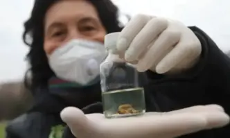 Утре започват поредните обработки за този сезон срещу комари кърлежи