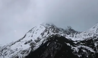 То е с множество фрактури и травми на вътрешни органи7 годишно