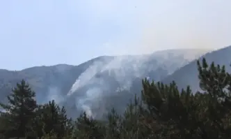 Горят над 70 декара от българската странаТревожна продължава да бъде