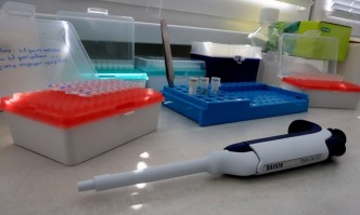 8012 са новите случаи на коронавирус у нас през последното