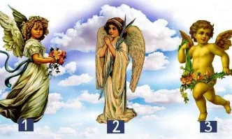 Изберете своето ангелче – тест