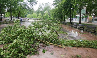 260 сигнала за щети от бурята в Русе, разчистването продължава