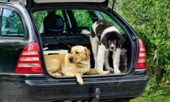 Българска гражданка е била задържана от гръцката полиция защото оставила