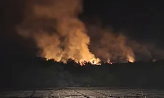 Четири противопожарни екипа гасят избухналия на територията на Рудник 2