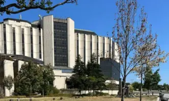 Съхнат някои от дърветата около НДК сигнализират читатели на Tribune bg Според